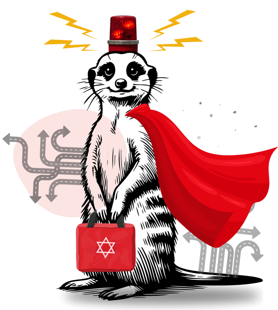 טיפוס 6